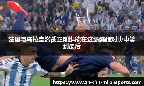 官网入口